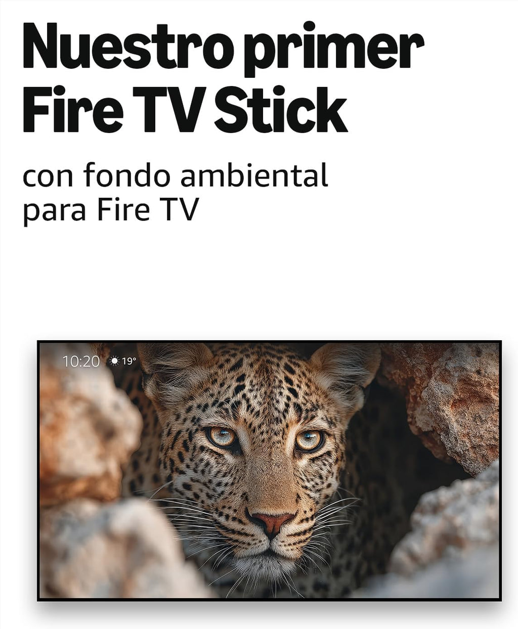 Dispositivo de Streaming Rápido
