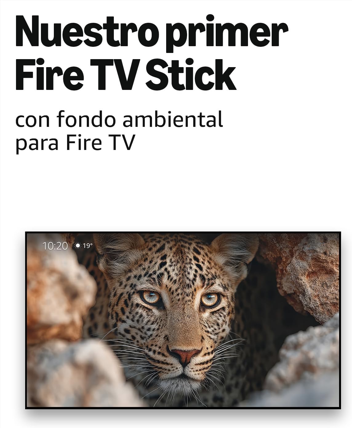 Dispositivo de Streaming Rápido