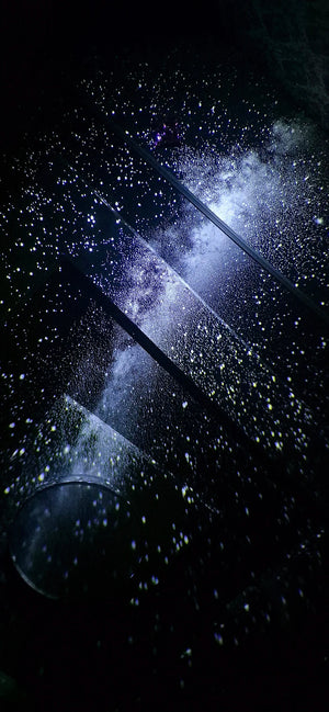 A2099e59437404846b6185b1362992834v.jpg