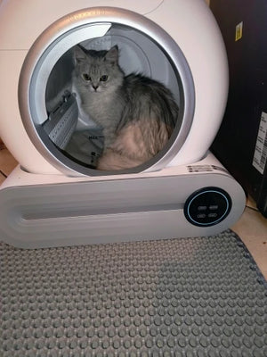 Ac04e0aa9790e42f9a90850fe7330ac4eT.jpg