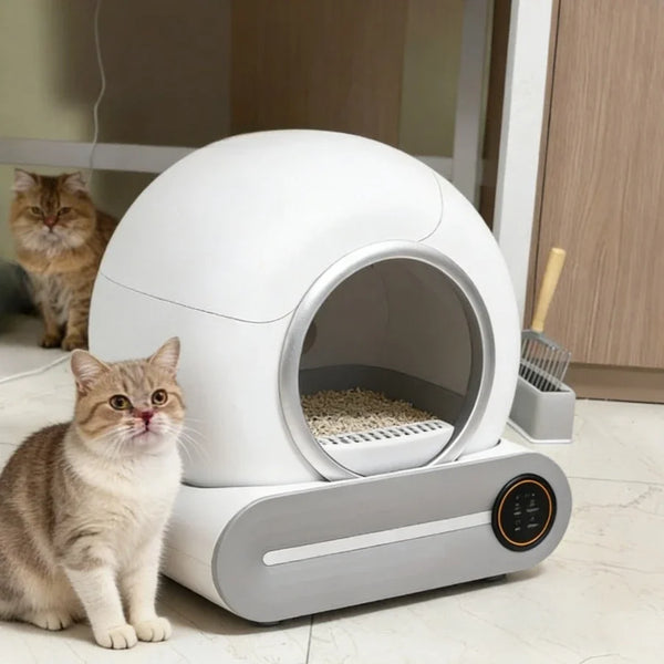 Caja de Arena Inteligente para Gatos
